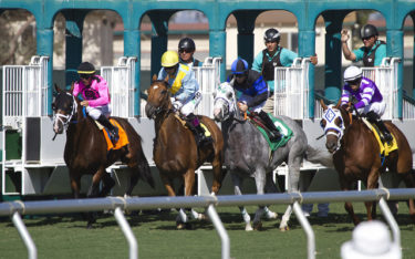 Starting_Gate