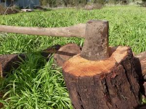 axe