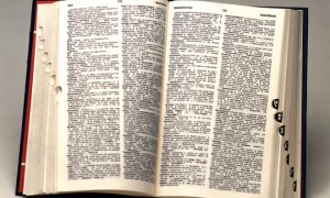 dictionary
