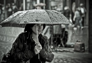 Photo by Hamed Parham.