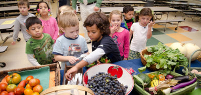 Photo by U.S. Department of Agriculture / CC BY 2.0