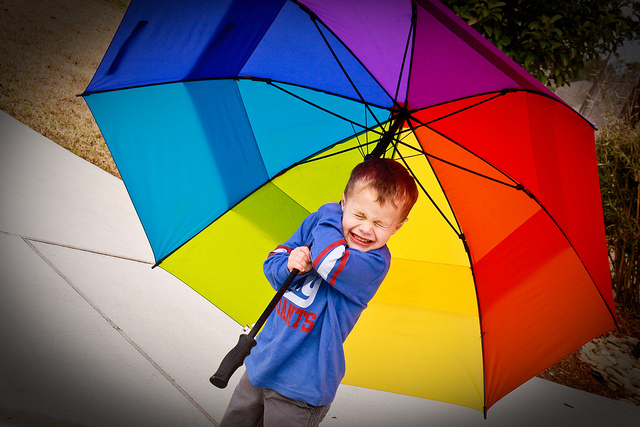umbrella